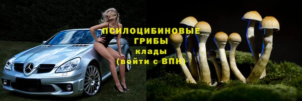 ПСИЛОЦИБИНОВЫЕ ГРИБЫ Армянск